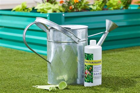 Using Fish Emulsion As an Organic Fertilizer .
